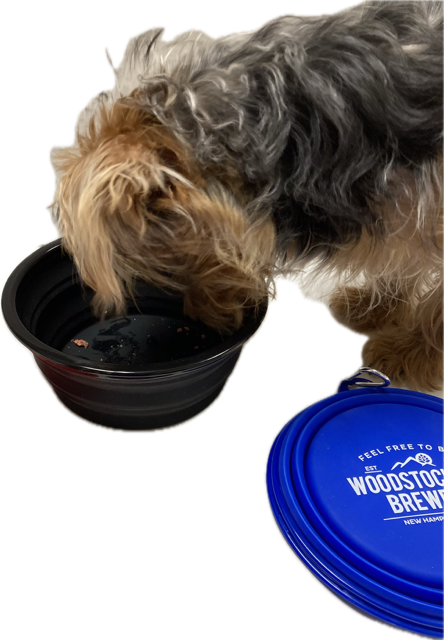 Collapsible Large Dog Bowl